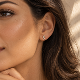 Aster Studs