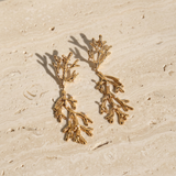 Calypso Drop Earrings