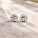 Lucia Studs