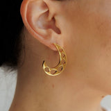 Viaan Earrings - Limited edition