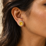 Yellow Sapphire Halo Studs